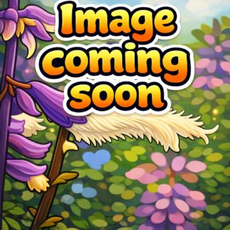 Salvia divinorum ‘Owens’ | Plant