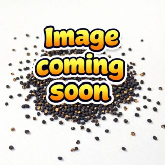 Seeds ‘Cultivar’ (Common) Seeds (Copy)