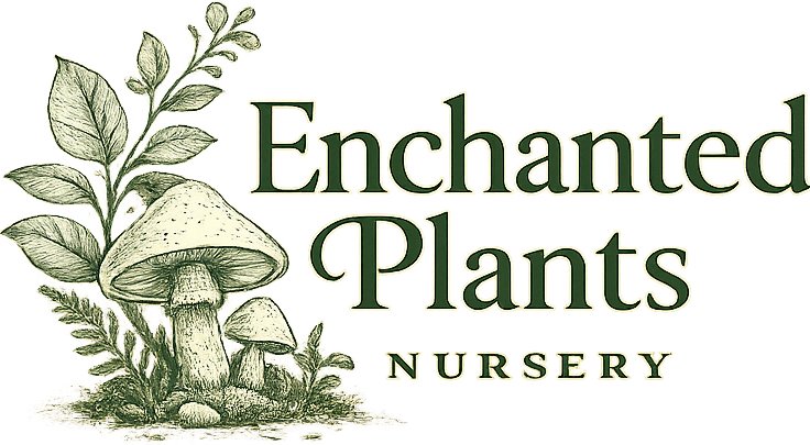 Enchanted Plants Nursery